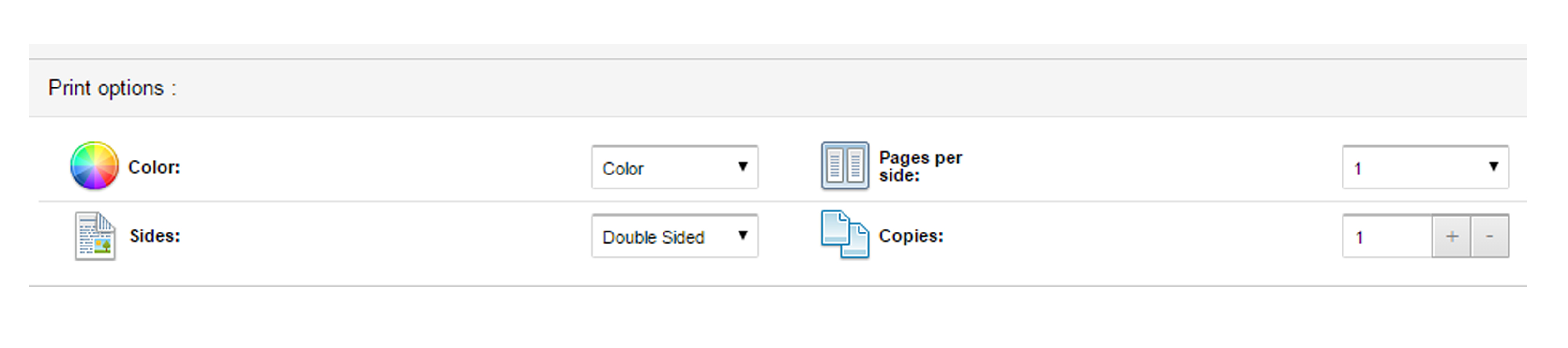 Print settings - including color and slide orientation.