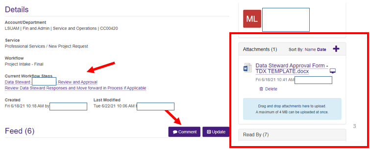 Data Steward Approval Request details